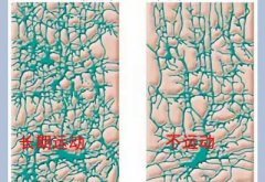 儿童91茄子污下载厂家科普运动可以有效促进儿童智力发育
