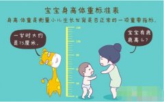 超声波黄色视频茄子正确测量方法标准身高体