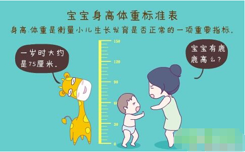 超声波黄色视频茄子正确测量方法标准身高体重表